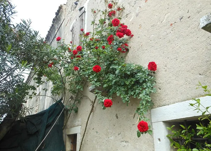 Albergo Mio Lazise